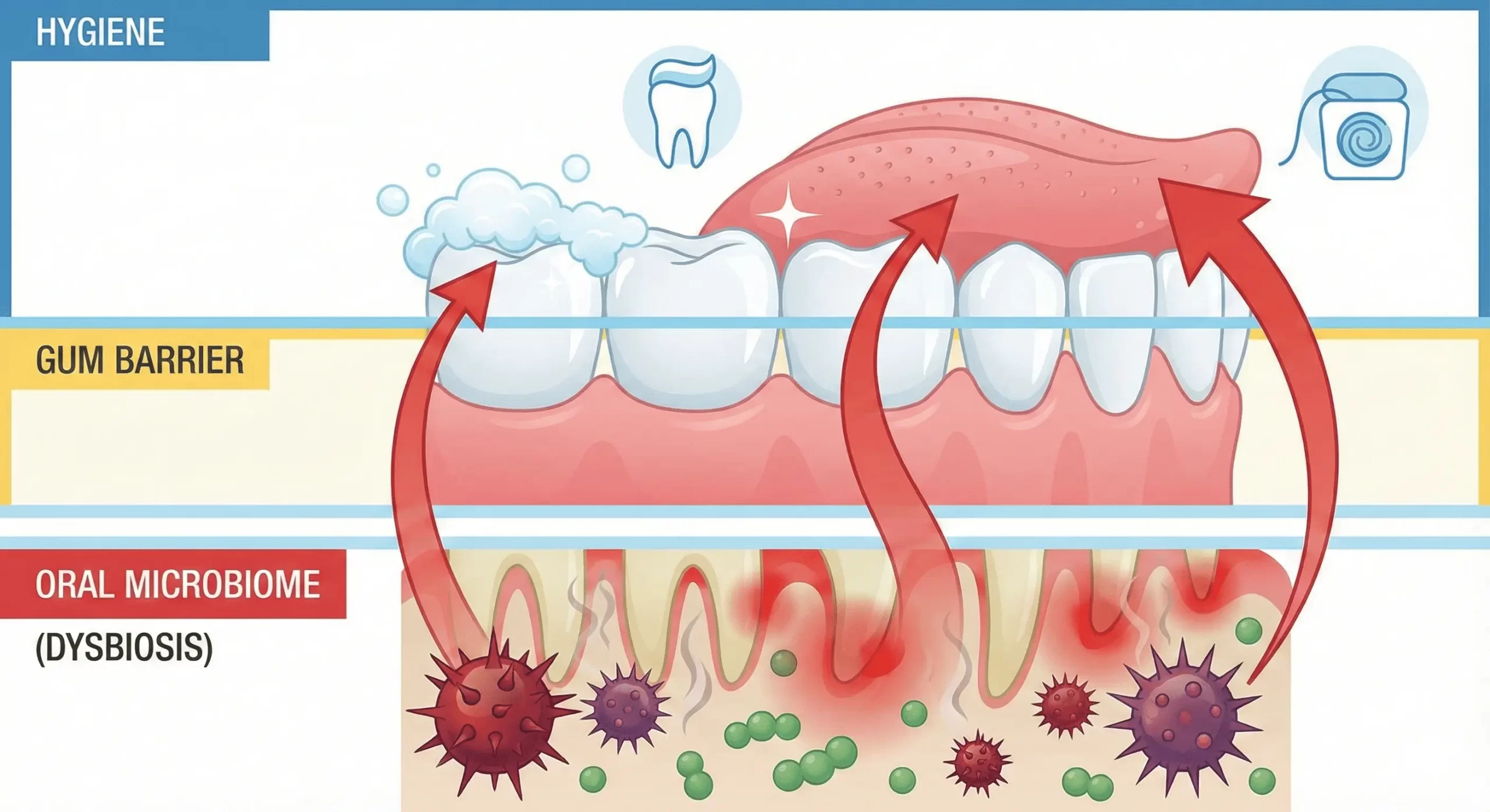 Study screenshot: The Oral Microbiome and Systemic Health